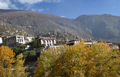 Neoak-bhutan-tour