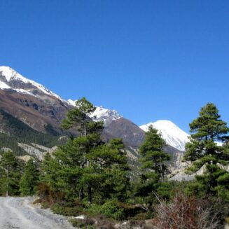 Annapurna Circuit Trek