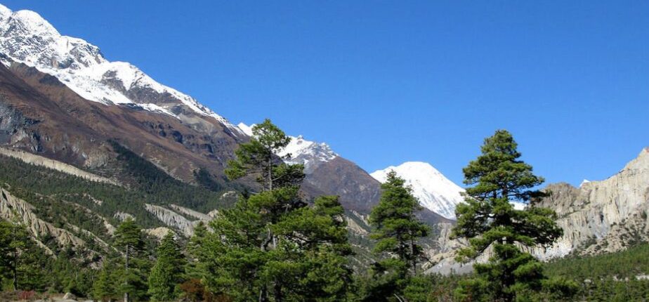 Annapurna Circuit Trek