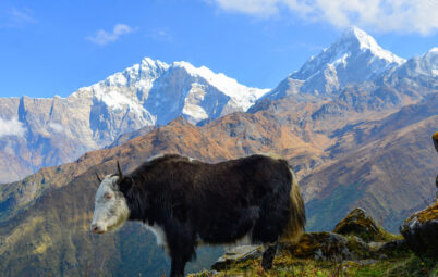 Off-the-Beaten-Path Treks in Nepal