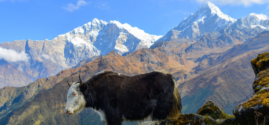 Off-the-Beaten-Path Treks in Nepal