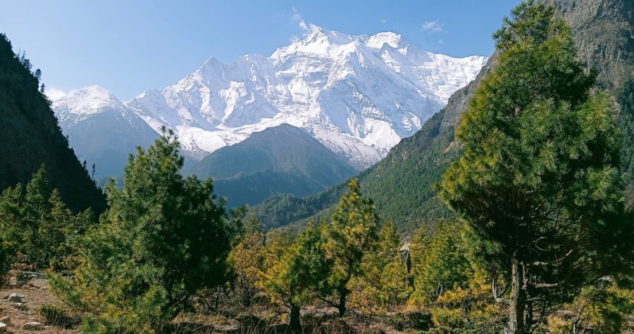 Eco-Friendly Trekking in Nepal