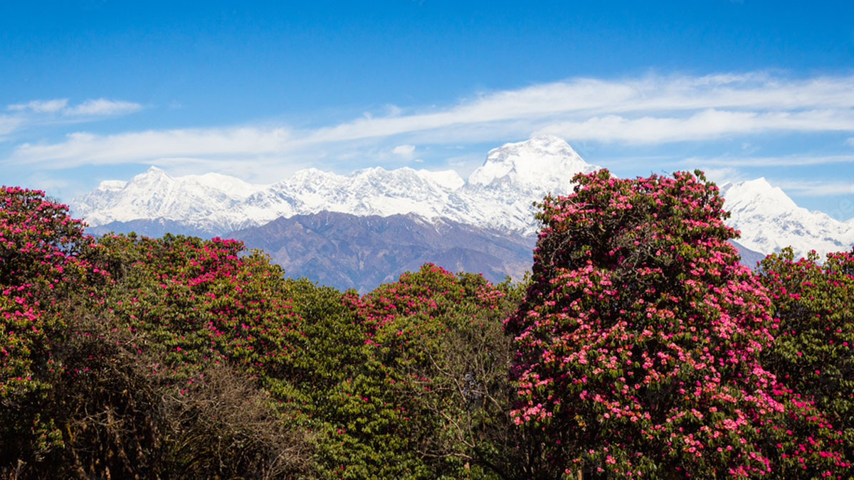 why 2025 perfect year-trek nepal