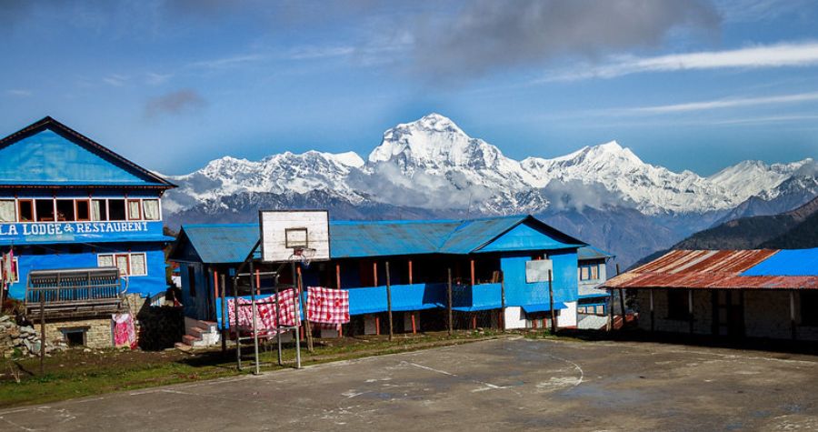 Tea House Trekking 