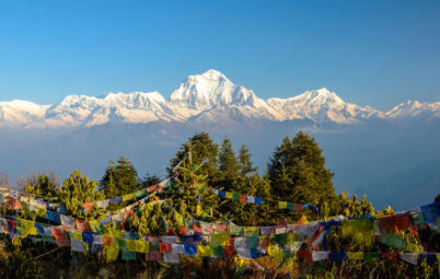 Poon Hill Trekking