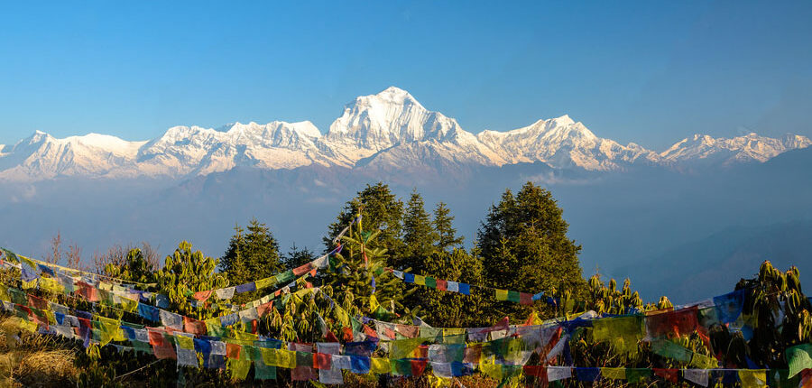 Poon Hill Trekking