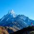 Mardi Himal Trek Plus Forest Wildlife Walk